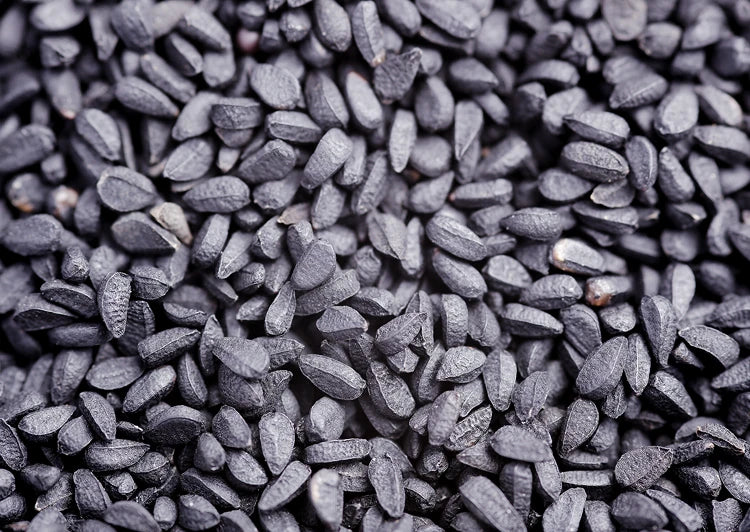 Black Cumin Seeds Extract