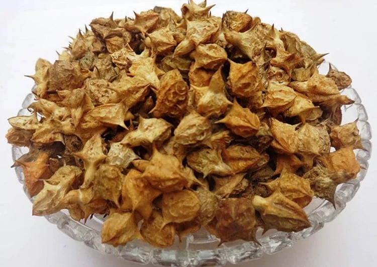Chotta Gokhru Fruit Extract