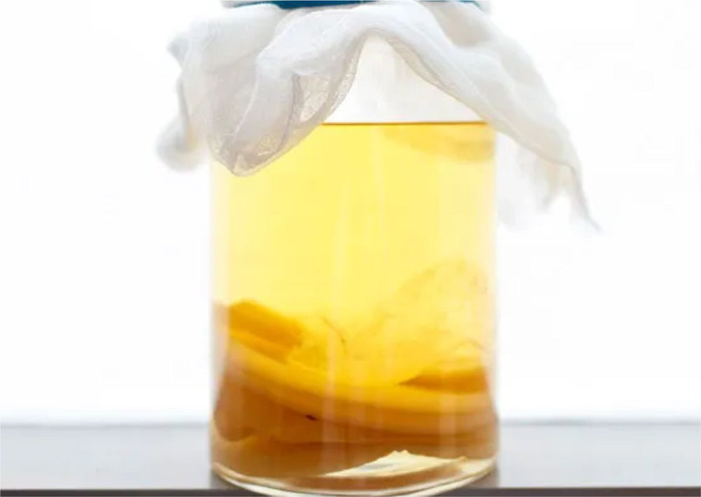 Mother of Vinegar