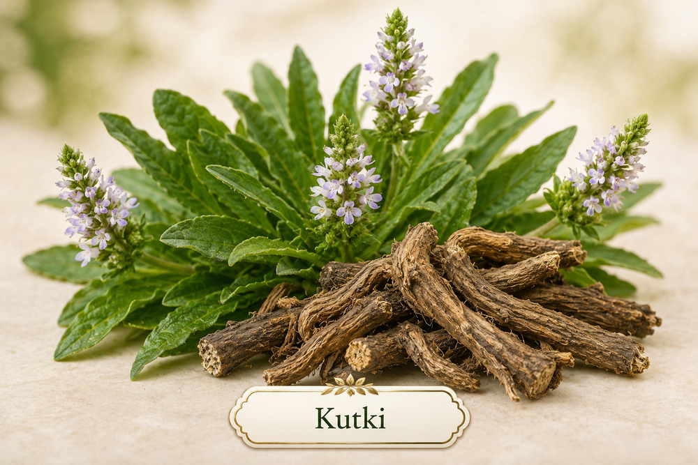 Kutki