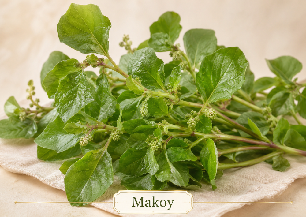 Makoy