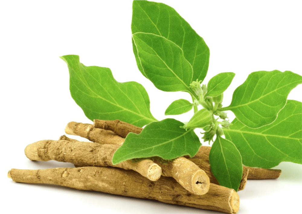 Ashwagandha