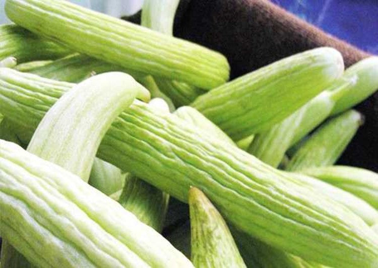 Cucumis Utilissimus