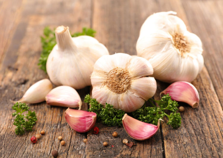 Garlic