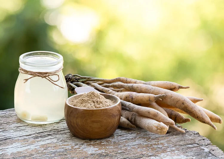 Shatavari root Extract