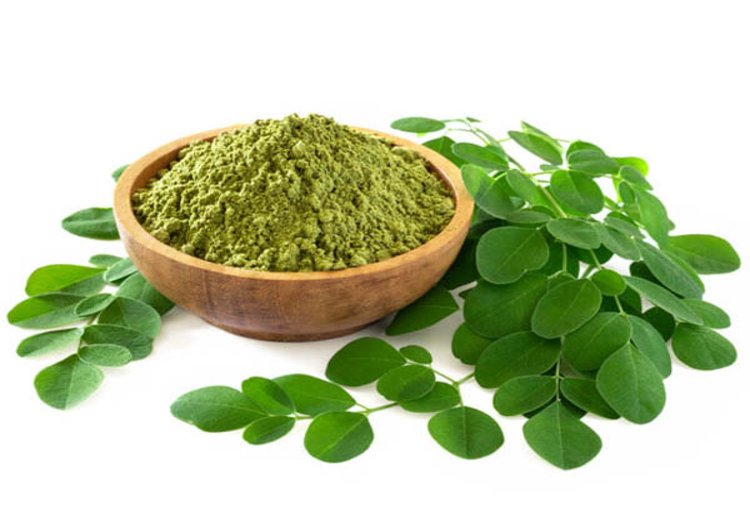 Moringa Leaf Extract